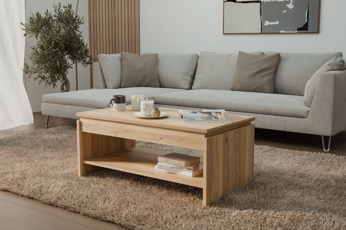 Bixbite Coffee Table