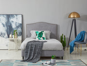 CURVELLA  F Single Bed