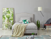 CURVELLA  F Single Bed