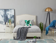 CURVELLA  F Single Bed