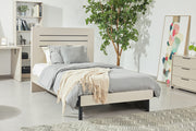 CHAMPRA  Single Bed